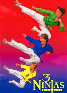 3 Ninjas Siêu Quậy - 3 Ninjas Kick Back - (1994) - phim3mien.com Website xem phim miễn phí tốt nhất