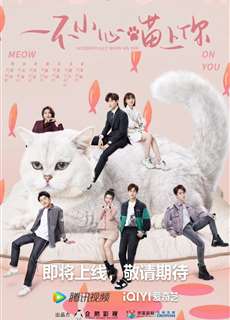 Bất Cẩn Meow Phải Anh - Accidentally Meow On You - (2022) - phim3mien.com Website xem phim miễn phí tốt nhất
