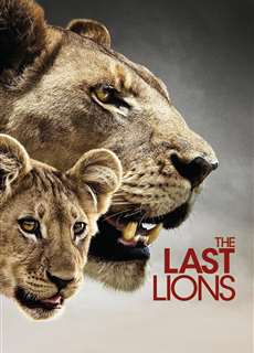 Bầy Sư Tử Cuối Cùng - The Last Lions - (2011) - phim3mien.com Website xem phim miễn phí tốt nhất