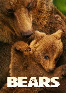 Bears - Bears - (2014) - phim3mien.com Website xem phim miễn phí tốt nhất