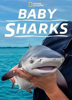 Cá Mập Con - Baby Sharks - (2022) - phim3mien.com Website xem phim miễn phí tốt nhất