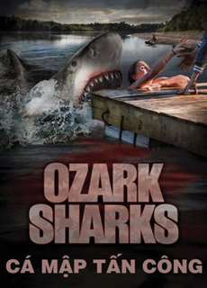 Cá Mập Tấn Công - Summer Shark Attack - (2016) - phim3mien.com Website xem phim miễn phí tốt nhất