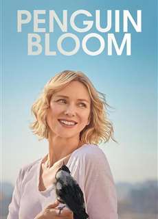 Cánh Cụt Nhà Bloom - Penguin Bloom - (2021) - phim3mien.com Website xem phim miễn phí tốt nhất