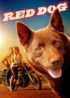 Chú Chó Đỏ - Red Dog - (2011) - phim3mien.com Website xem phim miễn phí tốt nhất
