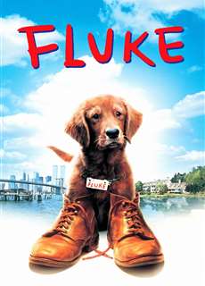 Chú Chó Fluke - Fluke - (1995) - phim3mien.com Website xem phim miễn phí tốt nhất