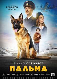 Chú Chó Palma - A Dog Named Palma - (2021) - phim3mien.com Website xem phim miễn phí tốt nhất