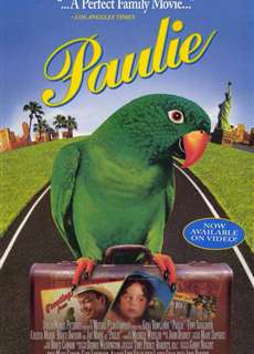 Chú Vẹt Paulie - Paulie - (1998) - phim3mien.com Website xem phim miễn phí tốt nhất