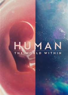 Con người: Thế giới bên trong cơ thể - Human: The World Within - (2021) - phim3mien.com Website xem phim miễn phí tốt nhất