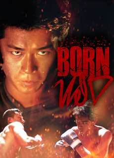 Dã Chiến Giang Hồ - Born Wild - (2001) - phim3mien.com Website xem phim miễn phí tốt nhất