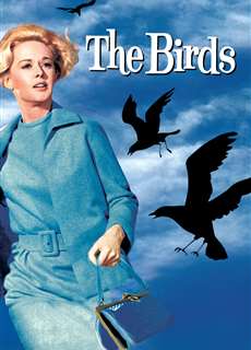 Đàn Chim Dữ - The Birds - (1963) - phim3mien.com Website xem phim miễn phí tốt nhất