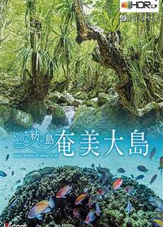 Đảo Amami Oshima - Amami Oshima Island - (2020) - phim3mien.com Website xem phim miễn phí tốt nhất