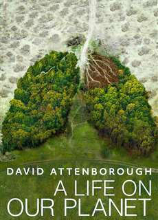 David Attenborough: Một Cuộc Đời Trên Trái Đất - David Attenborough: A Life On Our Planet - (2020) - phim3mien.com Website xem phim miễn phí tốt nhất