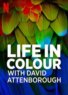 David Attenborough: Sự Sống Đầy Màu Sắc - Life In Colour With David Attenborough - (2021) - phim3mien.com Website xem phim miễn phí tốt nhất
