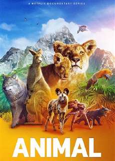 Động Vật (Phần 2) - Animal (Season 2) - (2022) - phim3mien.com Website xem phim miễn phí tốt nhất