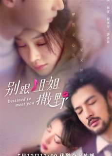 Đừng Nhờn Với Chị - Destined To Meet You - (2022) - phim3mien.com Website xem phim miễn phí tốt nhất