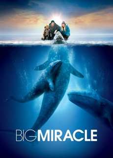 Giải Cứu Cá Heo - Big Miracle - (2012) - phim3mien.com Website xem phim miễn phí tốt nhất