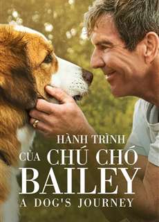 Hành Trình Của Chú Chó Bailey - A Dog's Journey - (2019) - phim3mien.com Website xem phim miễn phí tốt nhất