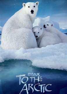 Hành Trình Đến Bắc Cực - To the Arctic 3D - (2012) - phim3mien.com Website xem phim miễn phí tốt nhất