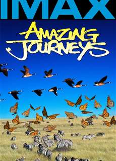 Hành Trình Kinh Ngạc - Amazing Journeys - (1999) - phim3mien.com Website xem phim miễn phí tốt nhất