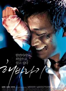 Hoa Hướng Dương - Sunflower - (2006) - phim3mien.com Website xem phim miễn phí tốt nhất