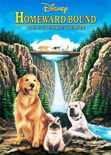 Hướng Về Nhà: Hành Trình Phi Thường - Homeward Bound: The Incredible Journey - (1993) - phim3mien.com Website xem phim miễn phí tốt nhất