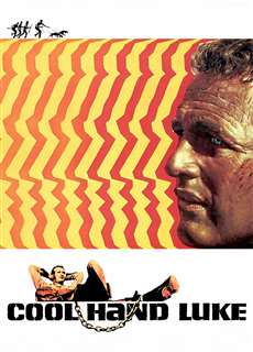 Kẻ Trơ Tráo - Cool Hand Luke - (1967) - phim3mien.com Website xem phim miễn phí tốt nhất