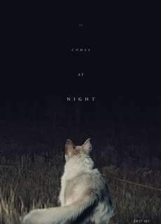 Màn Đêm Buông Xuống - It Comes At Night - (2017) - phim3mien.com Website xem phim miễn phí tốt nhất