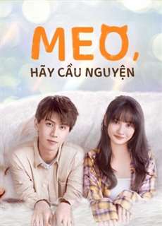 Meo, Hãy Cầu Nguyện - Make A Wish - (2021) - phim3mien.com Website xem phim miễn phí tốt nhất