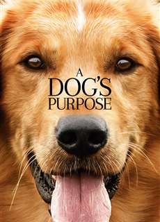 Mục Đích Sống Của Một Chú Chó - A Dog's Purpose - (2017) - phim3mien.com Website xem phim miễn phí tốt nhất