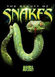 Nét Đẹp Của Loài Rắn - The Beauty Of Snakes - (2003) - phim3mien.com Website xem phim miễn phí tốt nhất