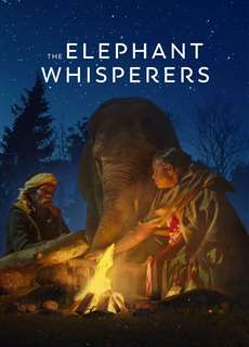 Người chăm voi - The Elephant Whisperers - (2022) - phim3mien.com Website xem phim miễn phí tốt nhất