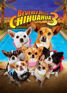 Những Chú Chó Chihuahua 3 - Beverly Hills Chihuahua 3: Viva La Fiesta! - (2012) - phim3mien.com Website xem phim miễn phí tốt nhất