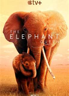Nữ Hoàng Voi - The Elephant Queen - (2019) - phim3mien.com Website xem phim miễn phí tốt nhất