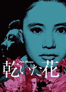 Pale Flower - Pale Flower - (1964) - phim3mien.com Website xem phim miễn phí tốt nhất