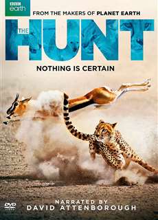 Săn Mồi - BBC: The Hunt - (2015) - phim3mien.com Website xem phim miễn phí tốt nhất