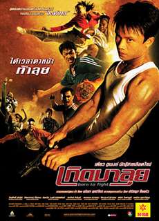 Sinh Ra Để Chiến Đấu - Born to Fight - (2004) - phim3mien.com Website xem phim miễn phí tốt nhất