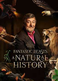Sinh Vật Huyền Bí: Lịch Sử Tự Nhiên - Fantastic Beasts: A Natural History - (2022) - phim3mien.com Website xem phim miễn phí tốt nhất