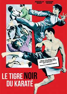 Taekwondo Chấn Cửu Châu - When Taekwondo Strikes - (1973) - phim3mien.com Website xem phim miễn phí tốt nhất