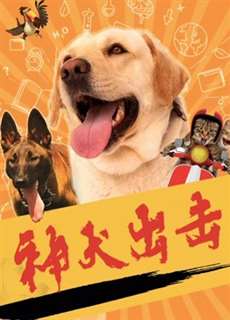 Thần Chó Tấn Công - God Dog Attack - (2019) - phim3mien.com Website xem phim miễn phí tốt nhất