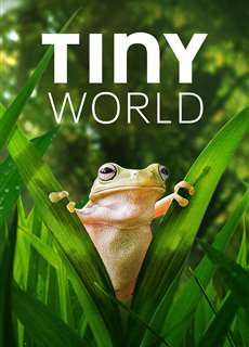 Thế Giới Siêu Nhỏ (Phần 2) - Tiny World (Season 2) - (2021) - phim3mien.com Website xem phim miễn phí tốt nhất