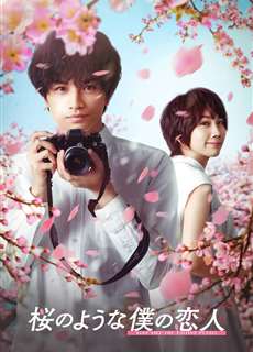 Tình Yêu Như Cánh Hoa Rơi - Love Like the Falling Petals - (2022) - phim3mien.com Website xem phim miễn phí tốt nhất
