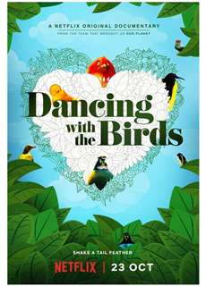 Vũ Điệu Của Loài Chim - Dancing With The Birds - (2019) - phim3mien.com Website xem phim miễn phí tốt nhất